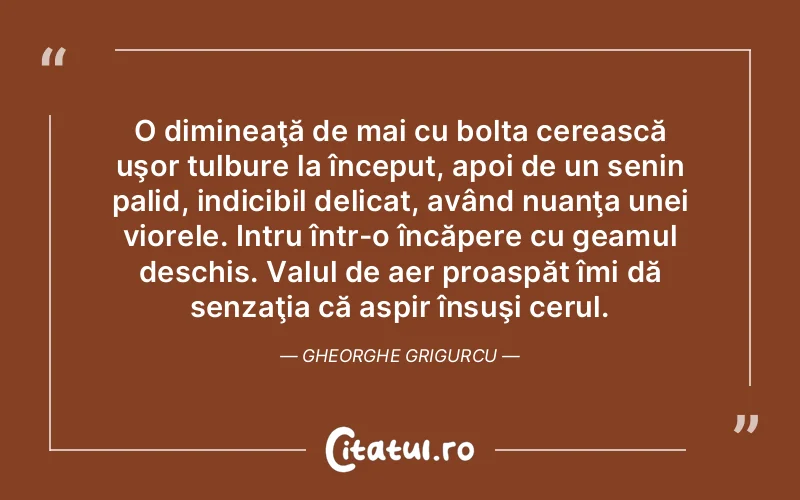 O dimineaţă de mai cu bolta cerească uşor tulbure la început, apoi de un senin palid, indicibil delicat, având nuanţa unei viorele. Intru într-o încăpere cu geamul deschis. Valul de aer proaspăt îmi dă senzaţia că aspir însuşi cerul. Gheorghe Grigurcu