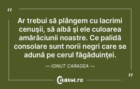 Ar trebui să plângem cu lacrimi cenuş... Ar trebui să plângem cu lacrimi cenuş...