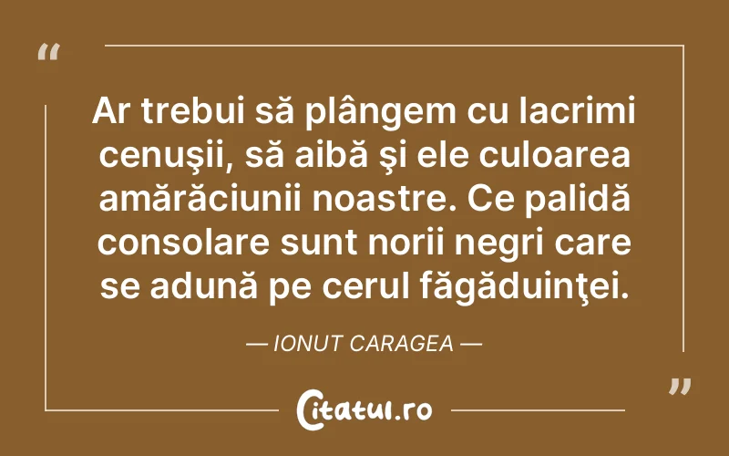Citat Ionut Caragea - citate spiritualitate