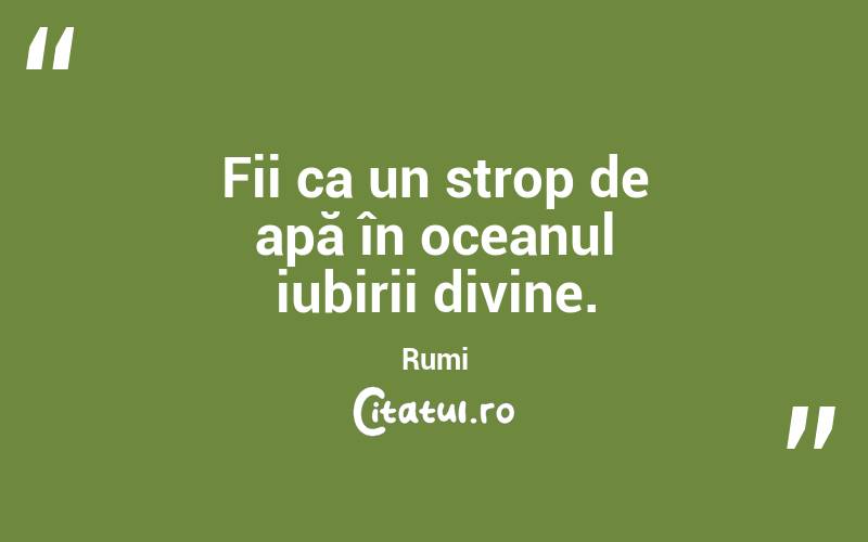 Fii ca un strop de apă în oceanul iubirii divine. Rumi
