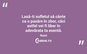 Lasă-ți sufletul să cânte ca o pasăre în zbor, căci astfel vei fi liber în adevărata ta esență. Rumi...