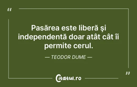 Pasărea este liberă şi independentă ... Pasărea este liberă şi independentă ...
