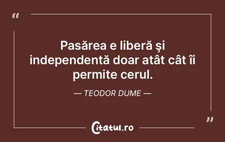 Pasărea e liberă şi independentă doa... Pasărea e liberă şi independentă doa...