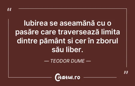 Iubirea se aseamănă cu o pasăre care ... Iubirea se aseamănă cu o pasăre care ...