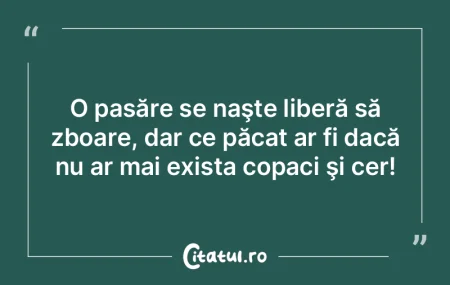 O pasăre se naşte liberă să zboare, ... O pasăre se naşte liberă să zboare, ...