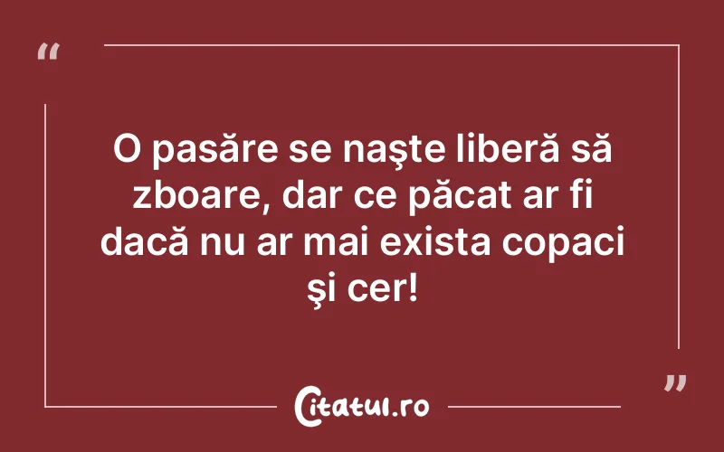 Citat Autor necunoscut - citate spiritualitate