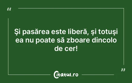 Şi pasărea este liberă, şi totuşi e... Şi pasărea este liberă, şi totuşi e...