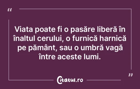 Viața poate fi o pasăre liberă în î... Viața poate fi o pasăre liberă în î...