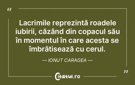 Lacrimile reprezintă roadele iubirii, c...