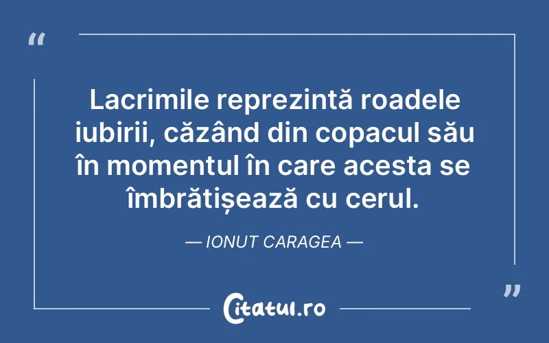 Citat Ionut Caragea - citate spiritualitate