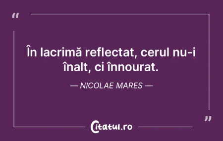 În lacrimă reflectat, cerul nu-i înal... În lacrimă reflectat, cerul nu-i înal...