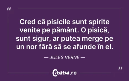 Cred că pisicile sunt spirite venite pe... Cred că pisicile sunt spirite venite pe...