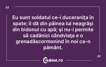 Eu sunt soldatul ce-i duceraniţa în sp...