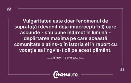 Vulgaritatea este doar fenomenul de supr...