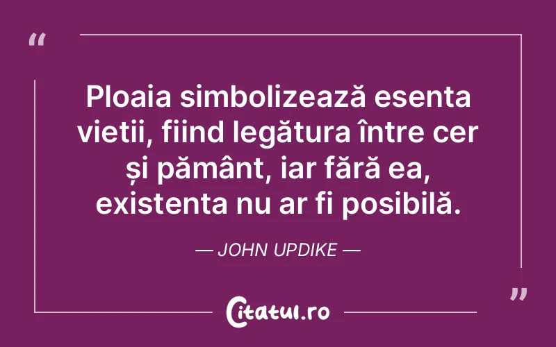 Citat John Updike - citate spiritualitate