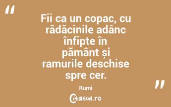 Fii ca un copac, cu rădăcinile adânc înfipte în pământ și ramurile deschise spre cer. Rumi...