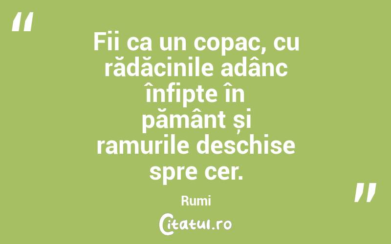 Fii ca un copac, cu rădăcinile adânc înfipte în pământ și ramurile deschise spre cer. Rumi
