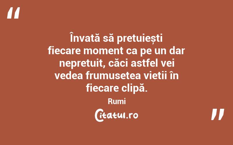 Învață să prețuiești fiecare moment ca pe un dar neprețuit, căci astfel vei vedea frumusețea vieții în fiecare clipă. Rumi
