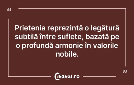 Prietenia reprezintă o legătură subti...