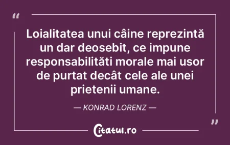 Loialitatea unui câine reprezintă un d... Loialitatea unui câine reprezintă un d...