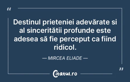 Destinul prieteniei adevărate și al si... Destinul prieteniei adevărate și al si...
