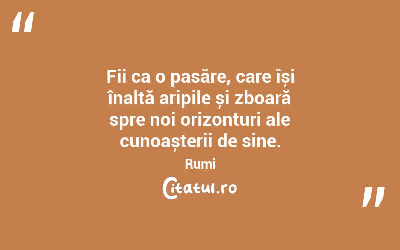 Fii ca o pasăre, care își înalță aripile și zboară spre noi orizonturi ale cunoașterii de sine. Rumi
