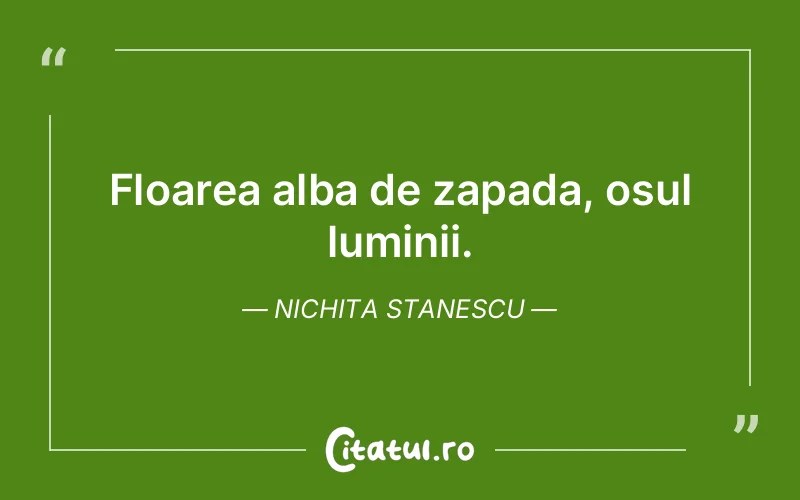 Citat Nichita Stanescu - citate spiritualitate