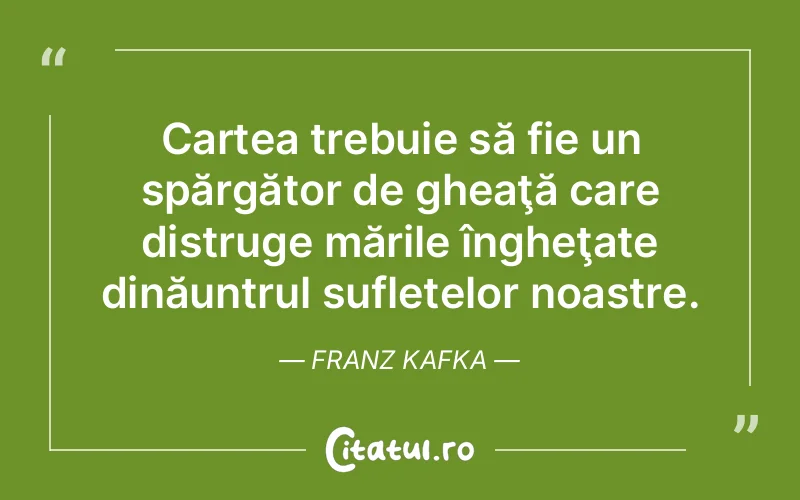 Citat Franz Kafka - citate spiritualitate