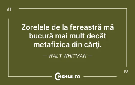 Zorelele de la fereastră mă bucură ma... Zorelele de la fereastră mă bucură ma...
