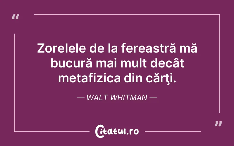 Citat Walt Whitman - citate spiritualitate