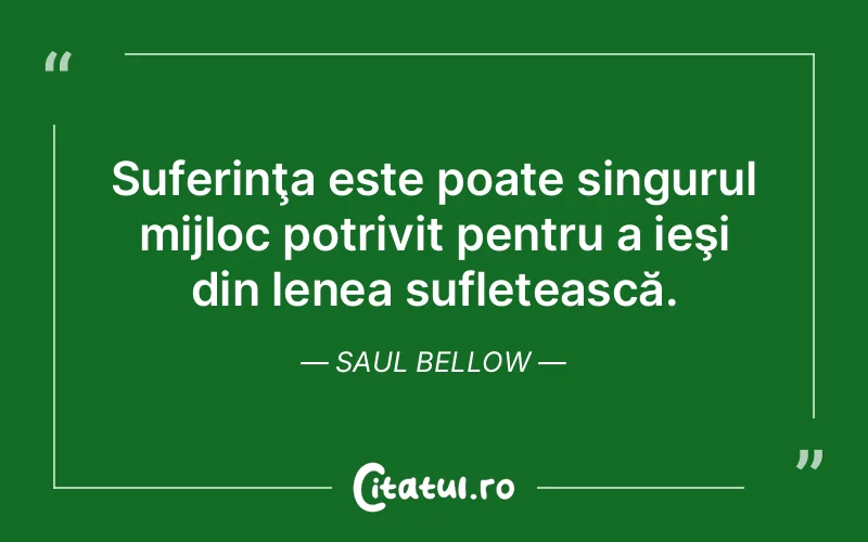 Citat Saul Bellow - citate spiritualitate