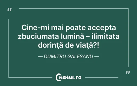 Cine-mi mai poate accepta zbuciumata lum...