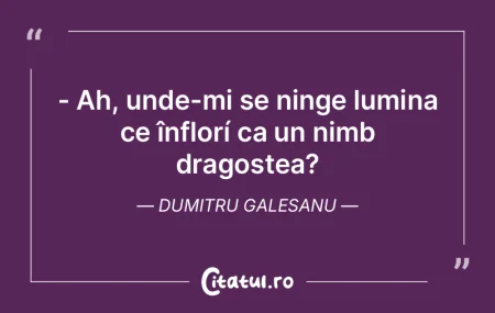 - Ah, unde-mi se ninge lumina ce înflor... - Ah, unde-mi se ninge lumina ce înflor...