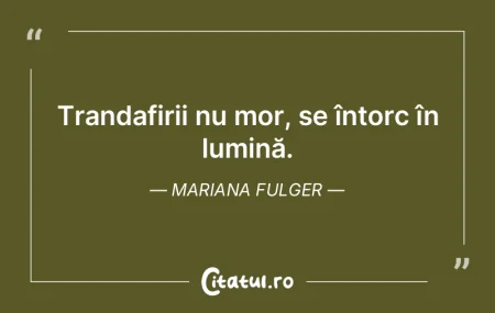 Trandafirii nu mor, se întorc în lumin... Trandafirii nu mor, se întorc în lumin...