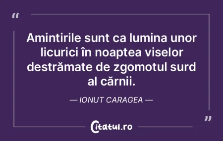Amintirile sunt ca lumina unor licurici ... Amintirile sunt ca lumina unor licurici ...