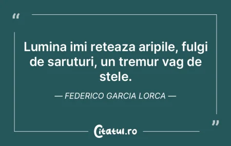 Lumina imi reteaza aripile, fulgi de sar... Lumina imi reteaza aripile, fulgi de sar...