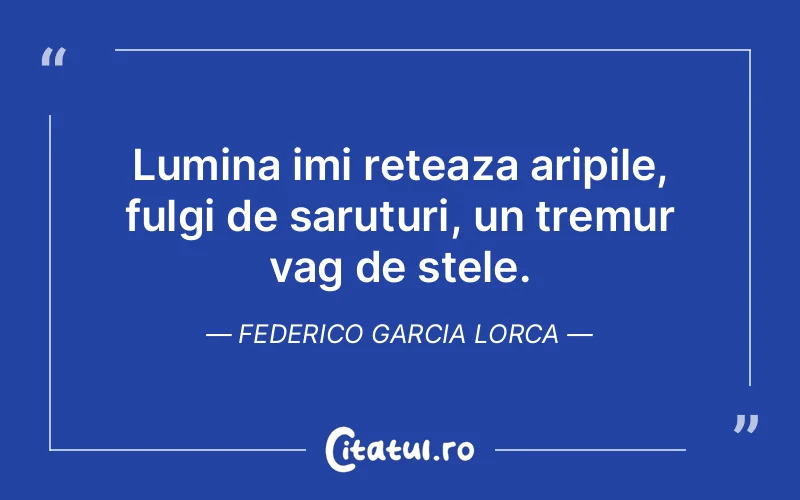 Lumina imi reteaza aripile, fulgi de saruturi, un tremur vag de stele. Federico Garcia Lorca