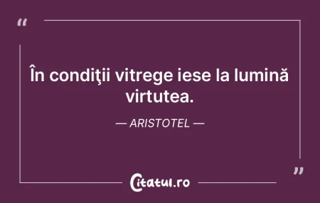 În condiţii vitrege iese la lumină vi...