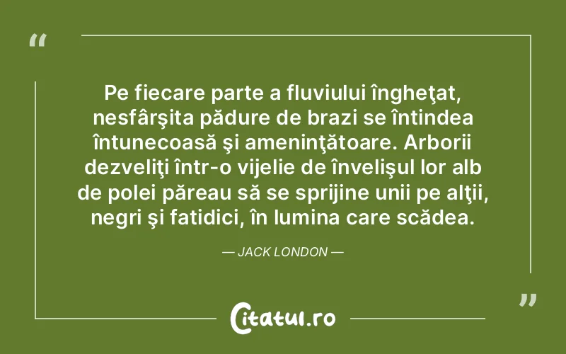 Pe fiecare parte a fluviului îngheţat, nesfârşita pădure de brazi se întindea întunecoasă şi ameninţătoare. Arborii dezveliţi într-o vijelie de învelişul lor alb de polei păreau să se sprijine unii pe alţii, negri şi fatidici, în lumina care scădea. Jack London