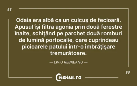 Odaia era albă ca un culcuş de fecioar...