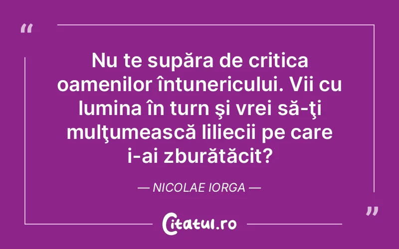 Citat Nicolae Iorga - citate spiritualitate