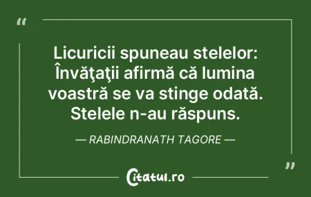 Licuricii spuneau stelelor: Învăţaţi... Licuricii spuneau stelelor: Învăţaţi...