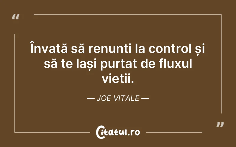 Citat Joe Vitale - citate spiritualitate