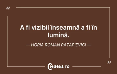 A fi vizibil înseamnă a fi în lumină... A fi vizibil înseamnă a fi în lumină...