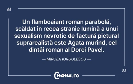 Un flamboaiant roman parabolă, scăldat... Un flamboaiant roman parabolă, scăldat...