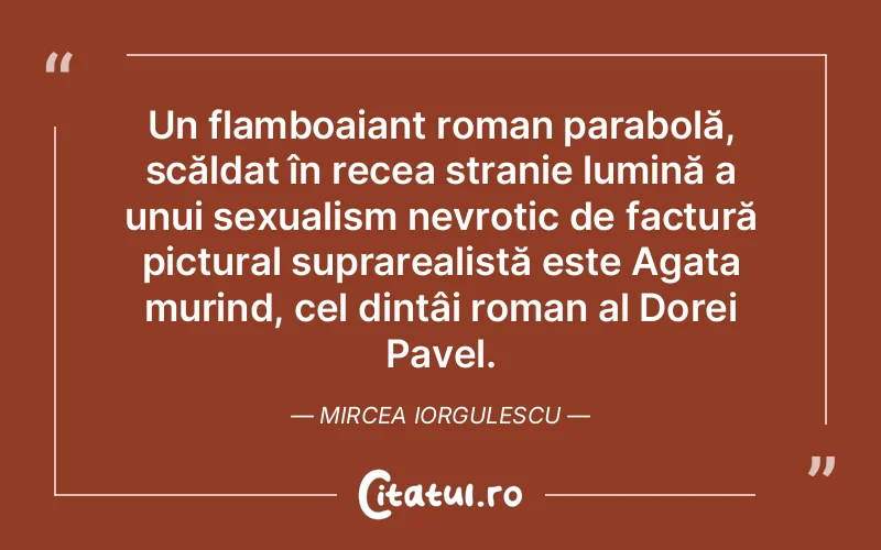 Citat Mircea Iorgulescu - citate spiritualitate