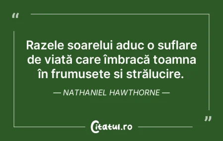 Razele soarelui aduc o suflare de viaÈ›Ä... Razele soarelui aduc o suflare de viaÈ›Ä...