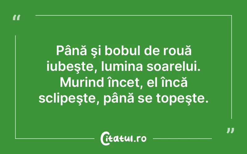 Citat Autor necunoscut - citate spiritualitate