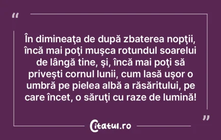 În dimineaţa de după zbaterea nopţii... În dimineaţa de după zbaterea nopţii...