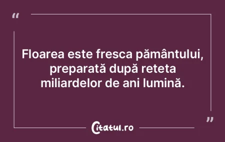 Floarea este fresca pământului, prepar... Floarea este fresca pământului, prepar...